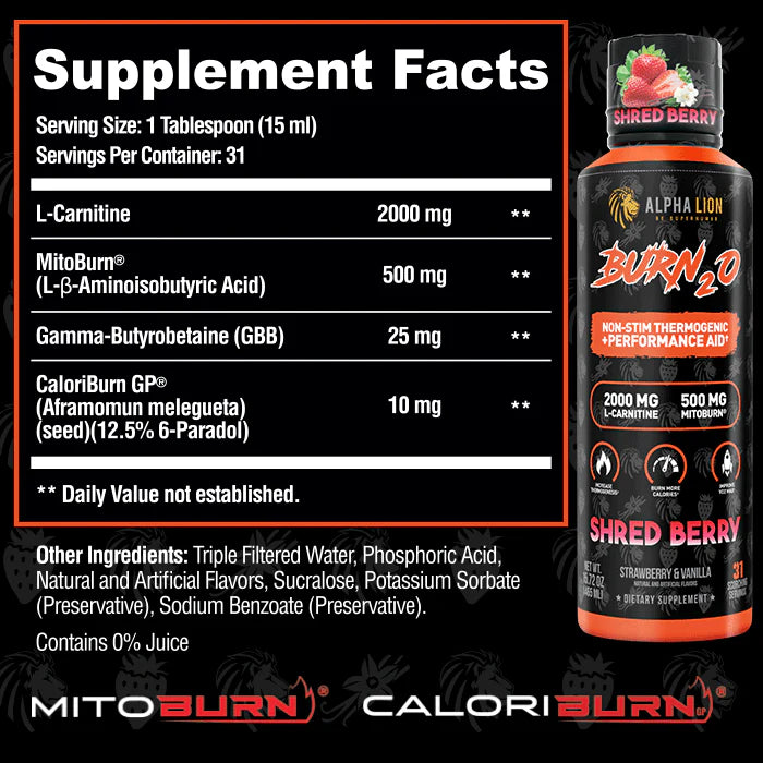 Burn2O