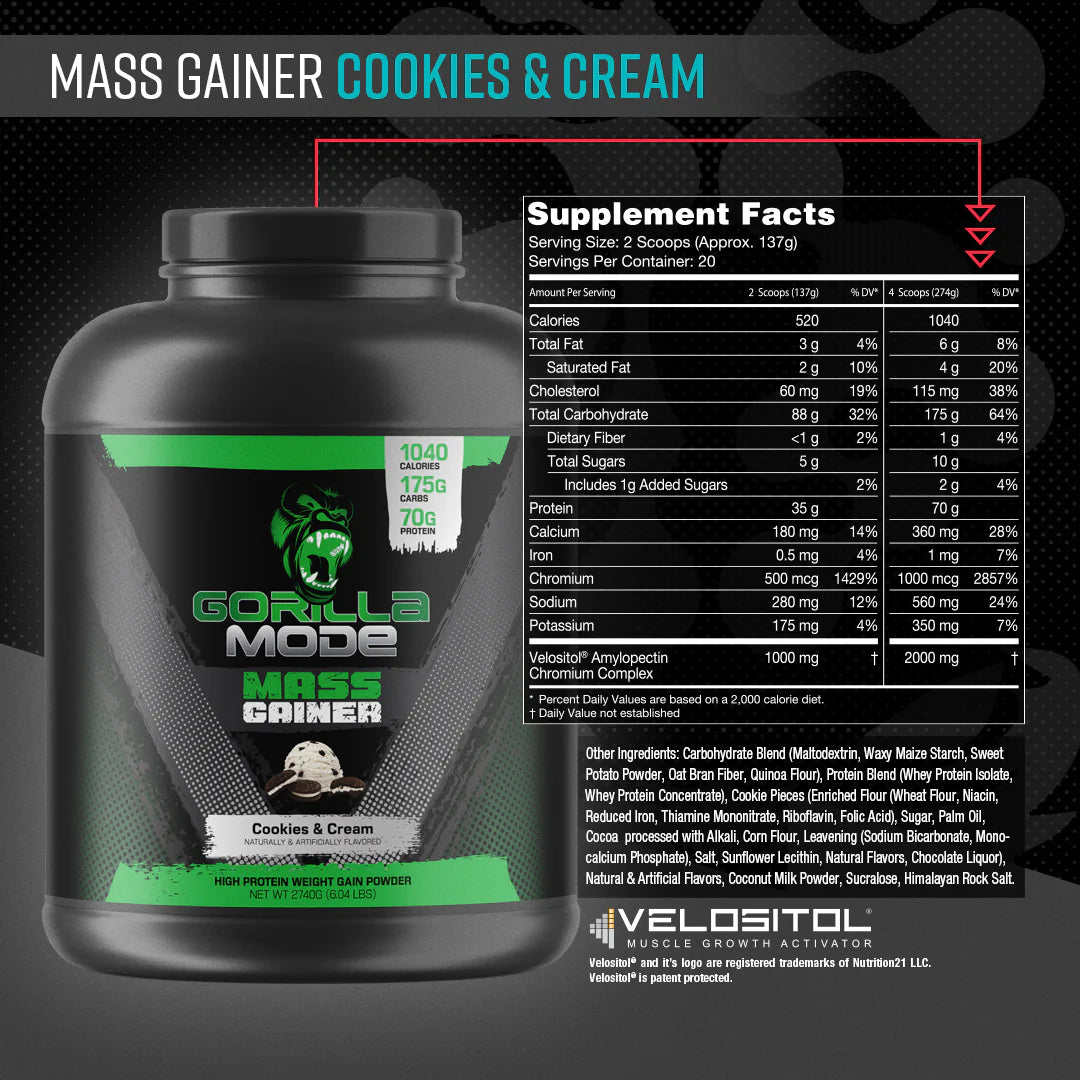 Mass Gainer High Protein Weight Gain Powder