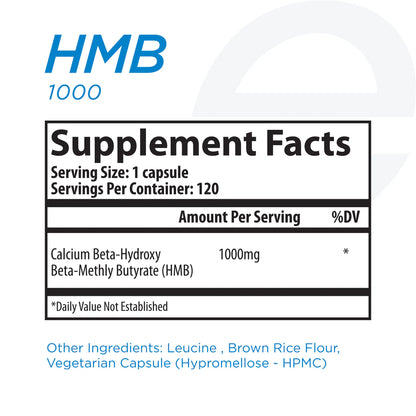 HMB 1000